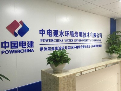 国企合作案例